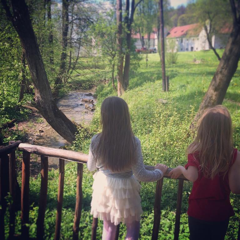 Zamek W Dziegielowie Bagian luar foto